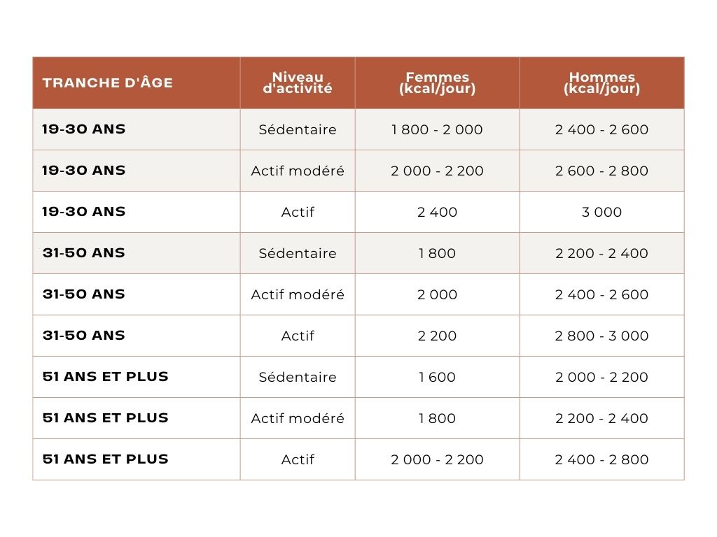 Rappel des apports caloriques par niveau d’activité